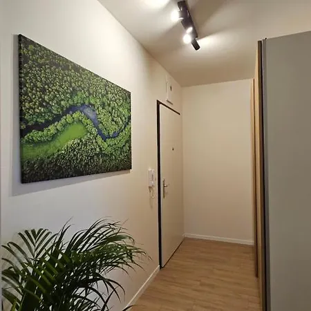 Apartment 2 With Terrace, New Building, 413