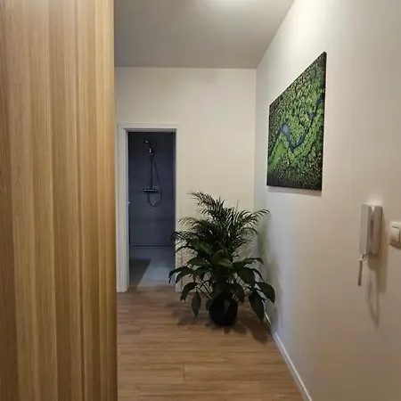 2 With Terrace, New Building, 413 * 브라티슬라바