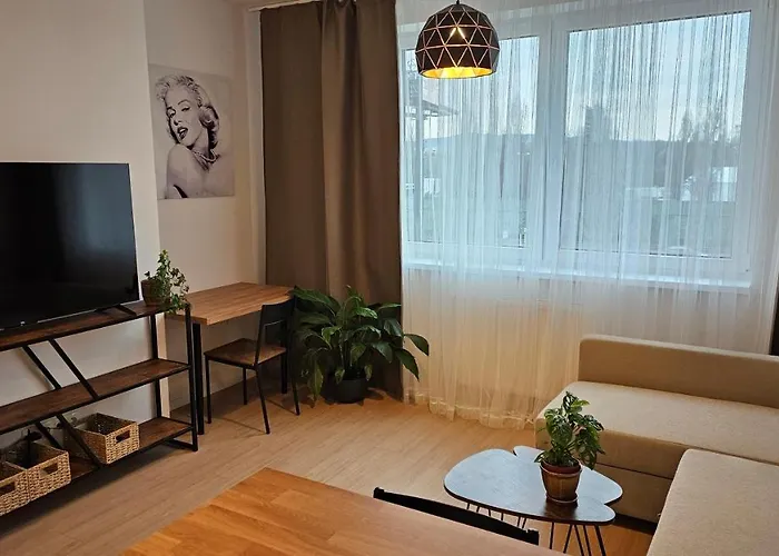 2 With Terrace, New Building, 413 *